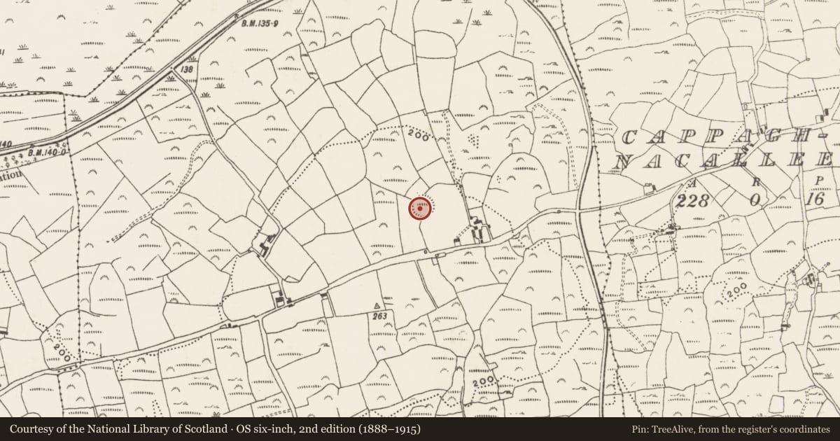 Ordnance Survey six-inch map, 2nd edition (1888–1915) covering the location of Ringfort - rath, Kilbronoge, County Cork, with a pin at the register's coordinates