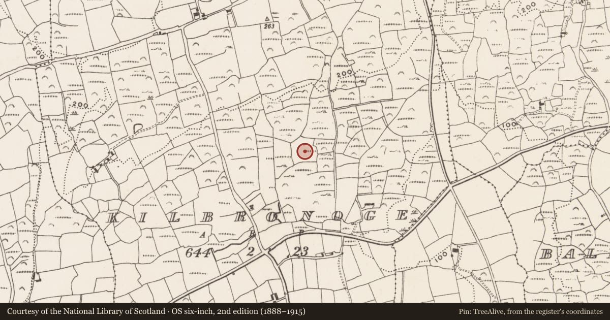 Ordnance Survey six-inch map, 2nd edition (1888–1915) covering the location of Megalithic tomb - wedge tomb, Kilbronoge, County Cork, with a pin at the register's coordinates