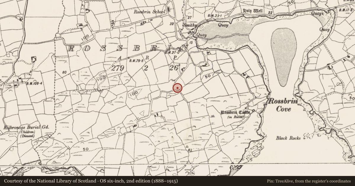 Ordnance Survey six-inch map, 2nd edition (1888–1915) covering the location of Ringfort - rath, Rossbrin, County Cork, with a pin at the register's coordinates