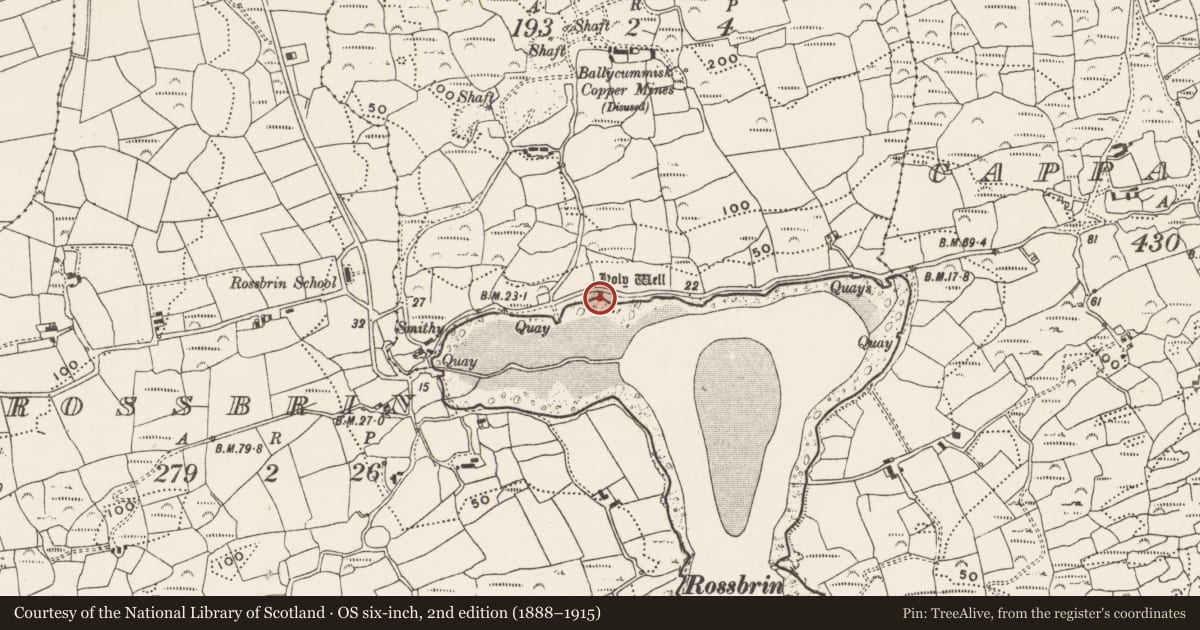 Ordnance Survey six-inch map, 2nd edition (1888–1915) covering the location of Ritual site - holy well, Ballycummisk, County Cork, with a pin at the register's coordinates