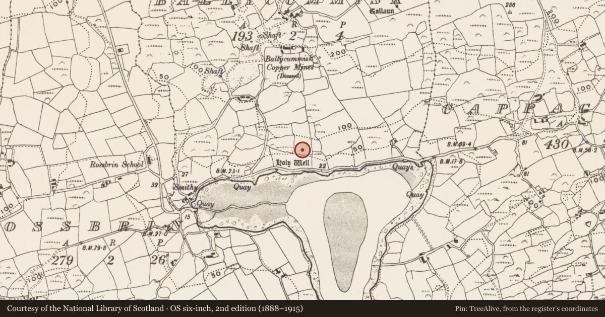 Ordnance Survey six-inch map, 2nd edition (1888–1915) covering the location of Fish palace, Ballycummisk, County Cork, with a pin at the register's coordinates