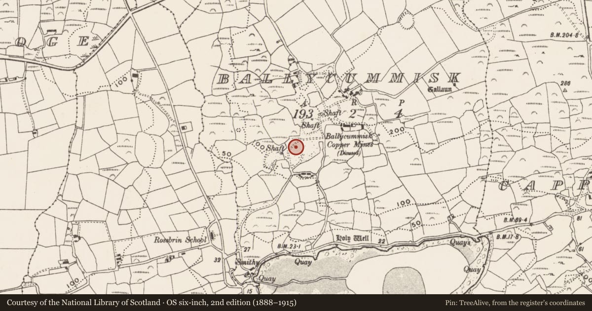 Ordnance Survey six-inch map, 2nd edition (1888–1915) covering the location of Mining complex, Ballycummisk, County Cork, with a pin at the register's coordinates