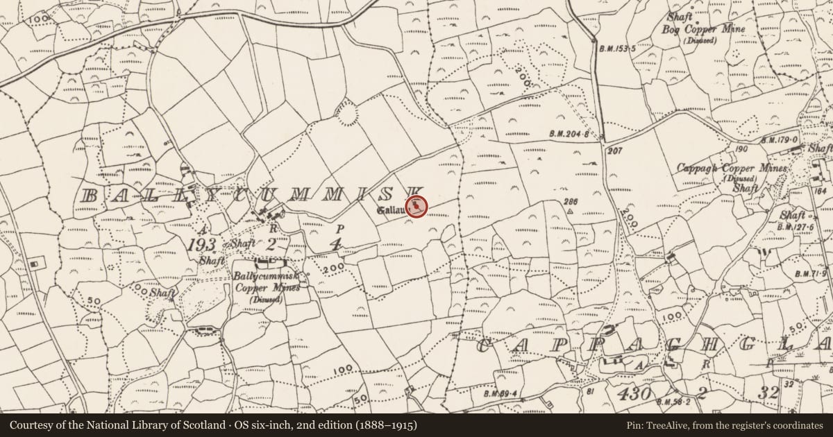 Ordnance Survey six-inch map, 2nd edition (1888–1915) covering the location of Standing stone, Ballycummisk, County Cork, with a pin at the register's coordinates