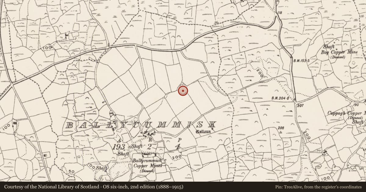 Ordnance Survey six-inch map, 2nd edition (1888–1915) covering the location of Ringfort - rath, Ballycummisk, County Cork, with a pin at the register's coordinates