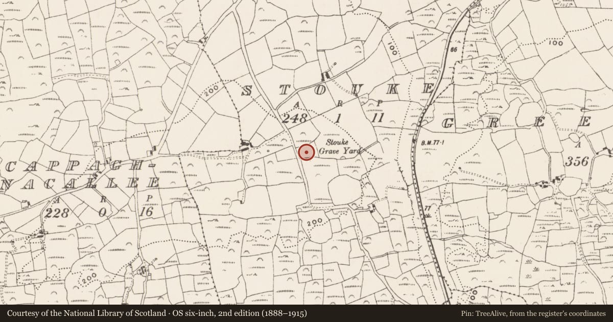 Ordnance Survey six-inch map, 2nd edition (1888–1915) covering the location of Graveyard, Stouke, County Cork, with a pin at the register's coordinates