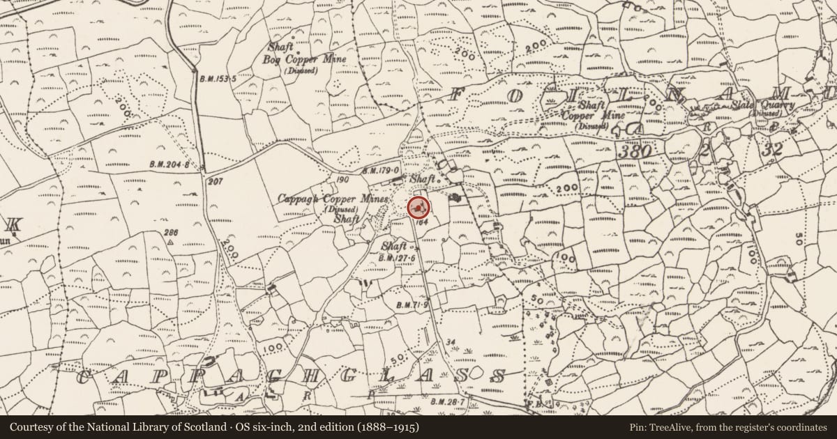 Ordnance Survey six-inch map, 2nd edition (1888–1915) covering the location of Mining complex, Cappaghglass, County Cork, with a pin at the register's coordinates