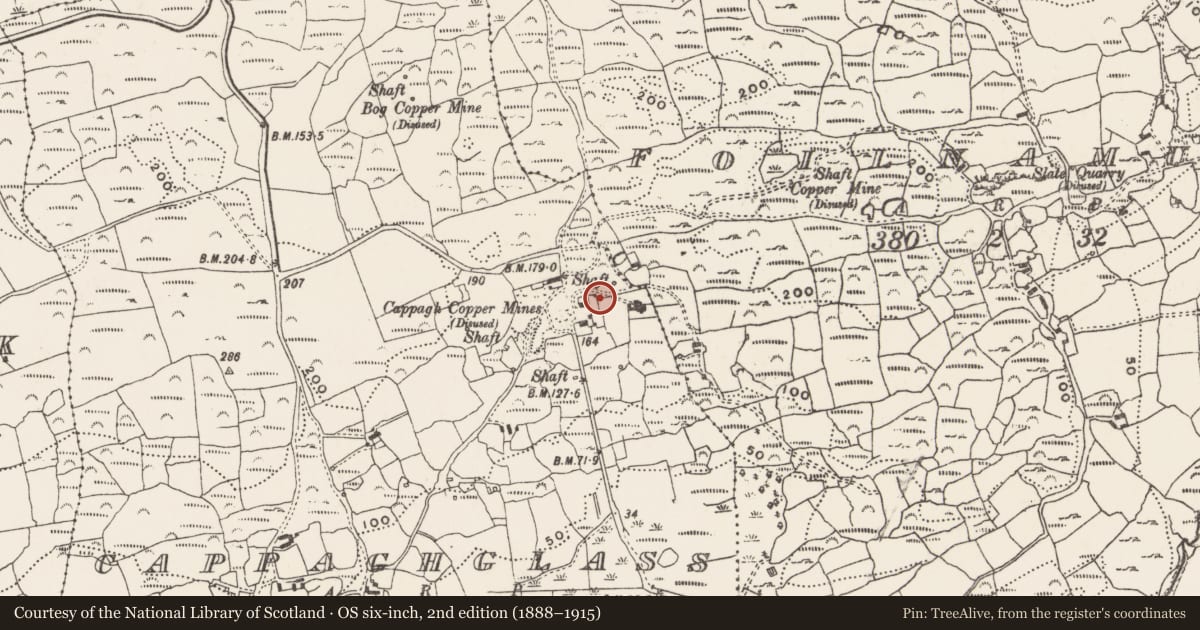 Ordnance Survey six-inch map, 2nd edition (1888–1915) covering the location of Industrial chimney, Cappaghglass, County Cork, with a pin at the register's coordinates