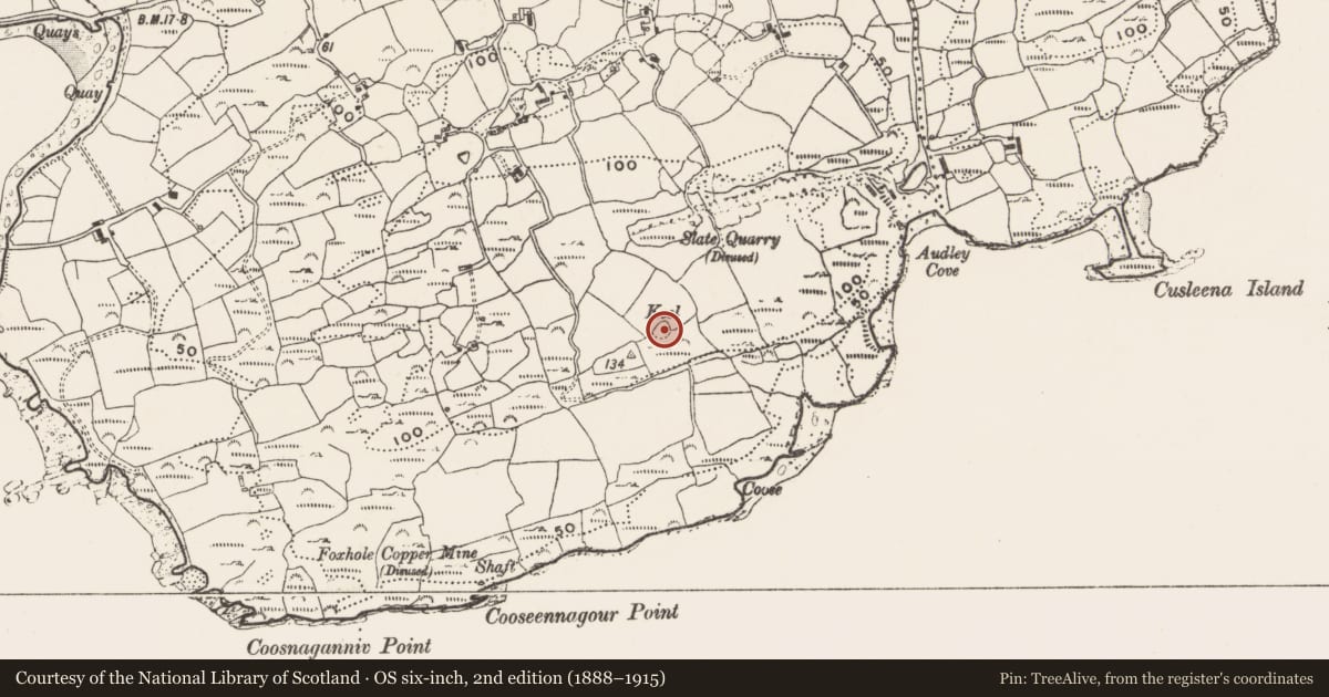 Ordnance Survey six-inch map, 2nd edition (1888–1915) covering the location of Burial ground, Cappaghglass, County Cork, with a pin at the register's coordinates