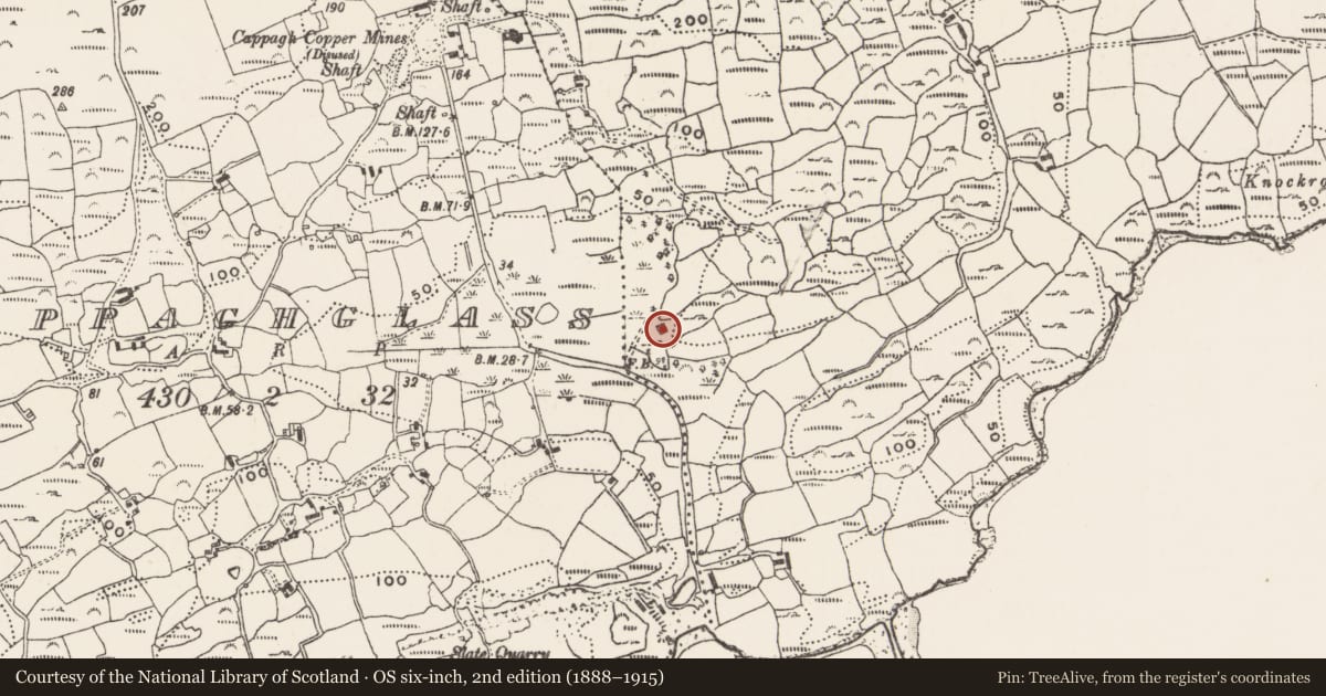 Ordnance Survey six-inch map, 2nd edition (1888–1915) covering the location of Magazine, Foilnamuck, County Cork, with a pin at the register's coordinates