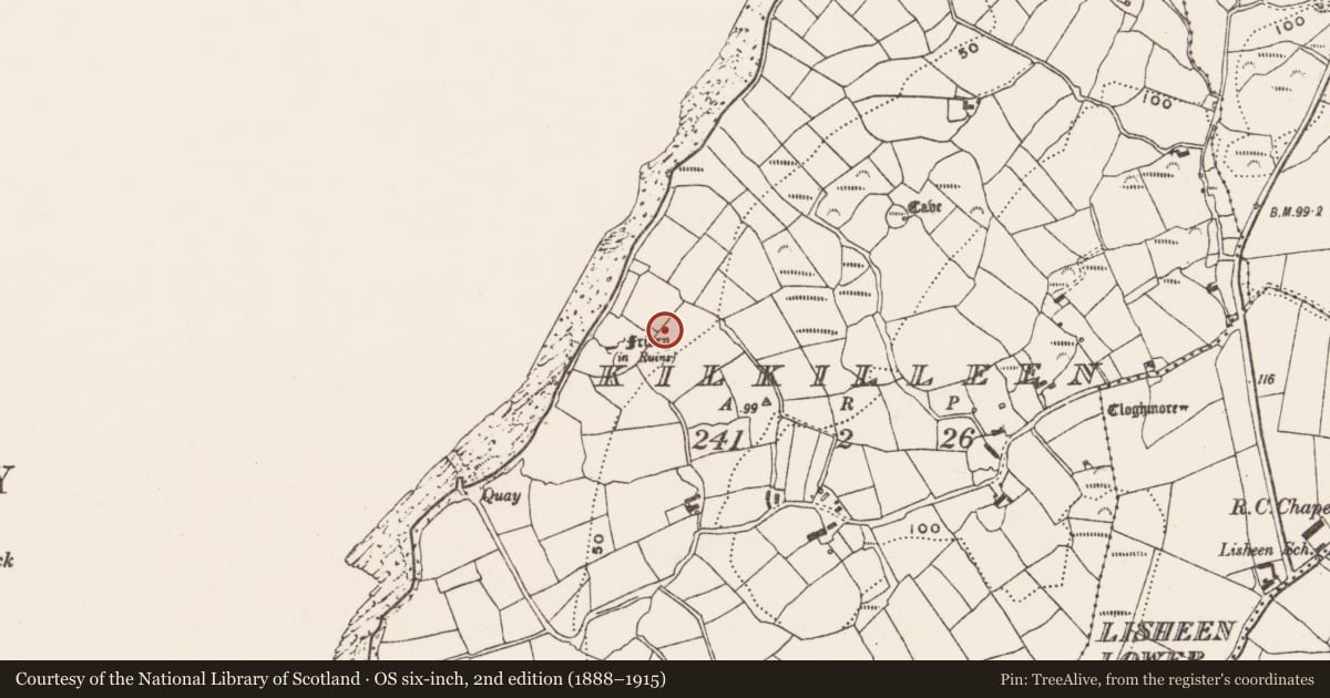Ordnance Survey six-inch map, 2nd edition (1888–1915) covering the location of Cross, Kilkilleen, County Cork, with a pin at the register's coordinates