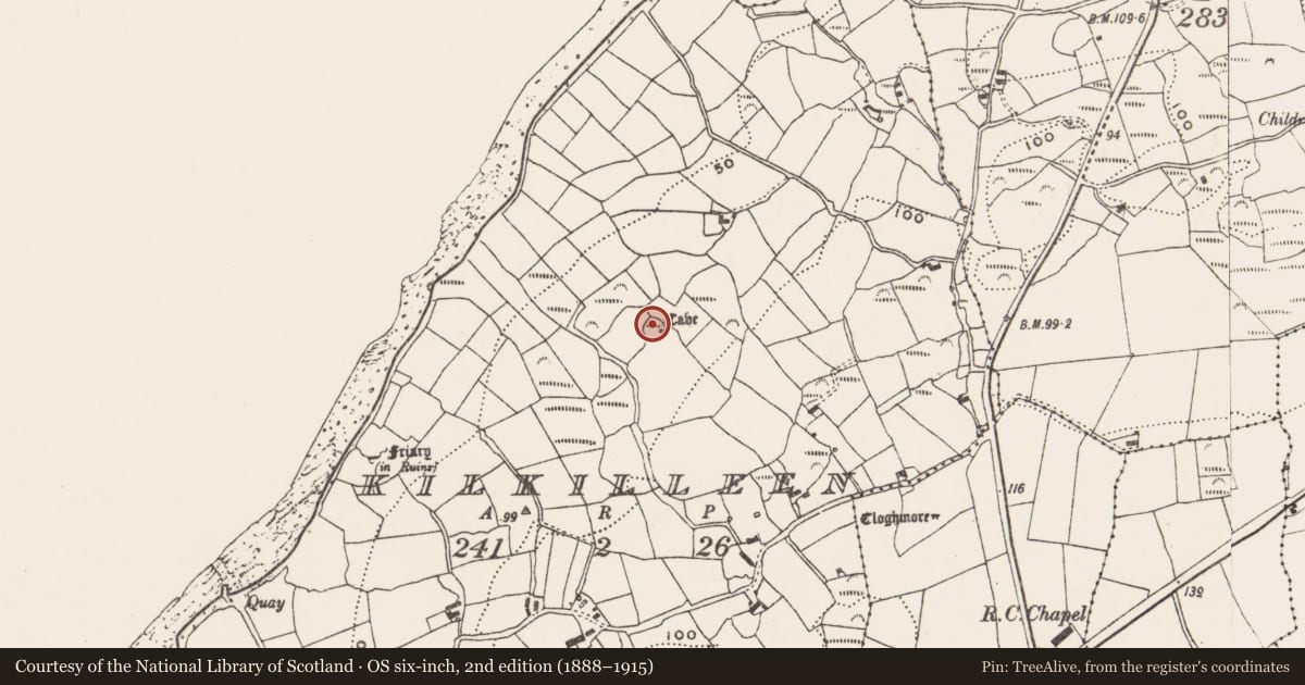 Ordnance Survey six-inch map, 2nd edition (1888–1915) covering the location of Ringfort - rath, Kilkilleen, County Cork, with a pin at the register's coordinates