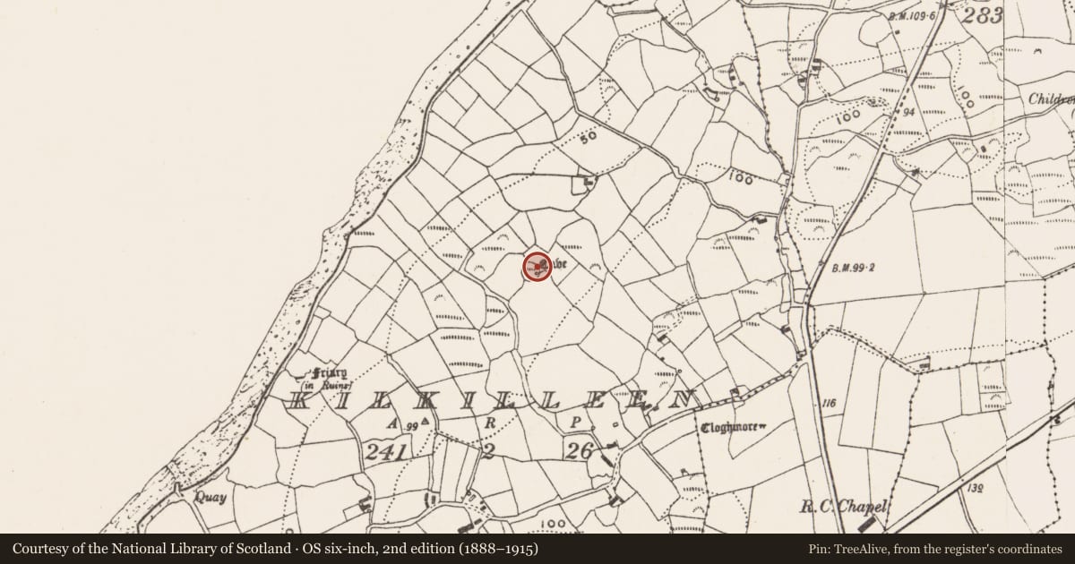 Ordnance Survey six-inch map, 2nd edition (1888–1915) covering the location of Souterrain, Kilkilleen, County Cork, with a pin at the register's coordinates