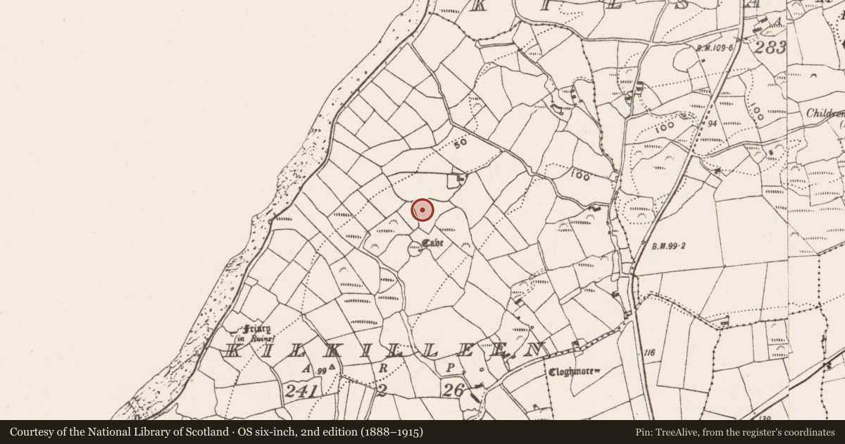 Ordnance Survey six-inch map, 2nd edition (1888–1915) covering the location of Burial ground, Kilkilleen, County Cork, with a pin at the register's coordinates