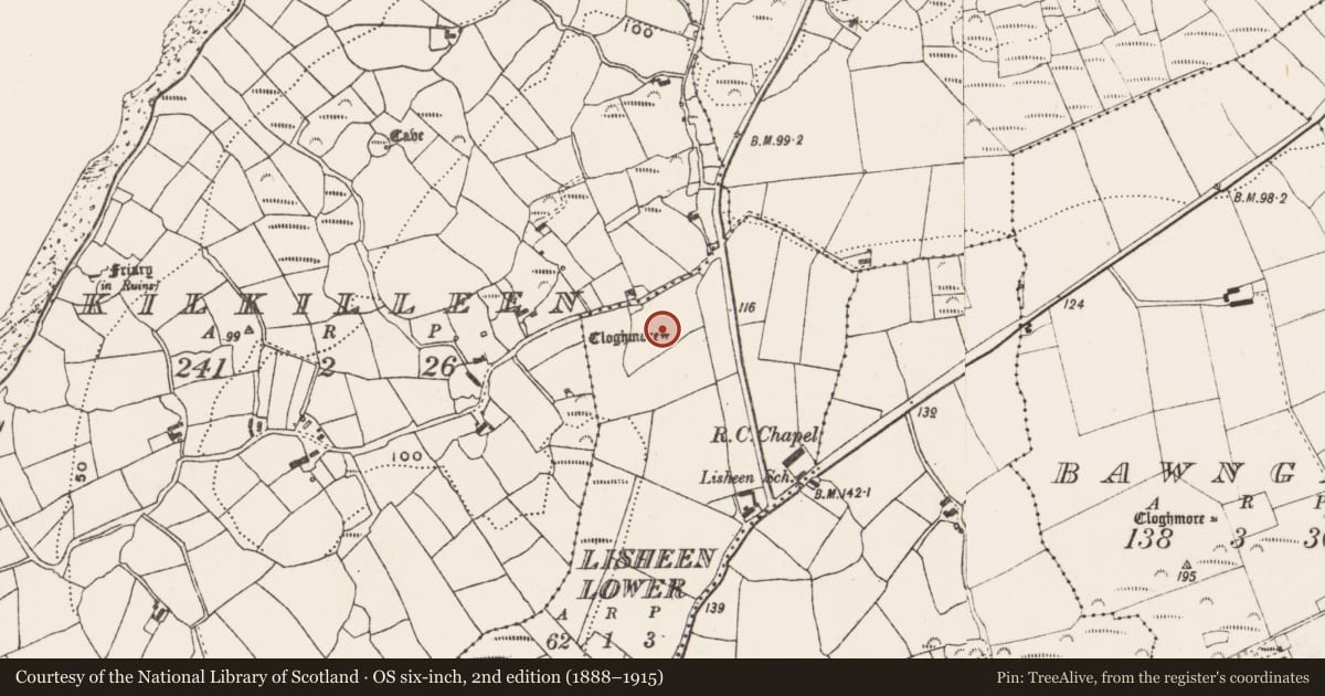 Ordnance Survey six-inch map, 2nd edition (1888–1915) covering the location of Boulder-burial, Lisheen Lower, County Cork, with a pin at the register's coordinates