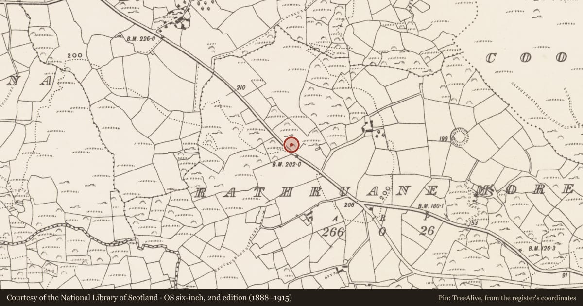 Ordnance Survey six-inch map, 2nd edition (1888–1915) covering the location of Boulder-burial, Rathruane More, County Cork, with a pin at the register's coordinates