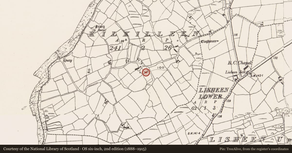 Ordnance Survey six-inch map, 2nd edition (1888–1915) covering the location of Boulder-burial, Kilkilleen, County Cork, with a pin at the register's coordinates