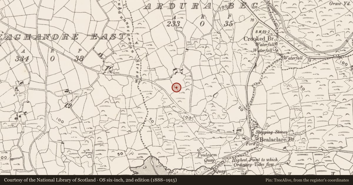 Ordnance Survey six-inch map, 2nd edition (1888–1915) covering the location of Cupmarked stone, Ardura Beg, County Cork, with a pin at the register's coordinates