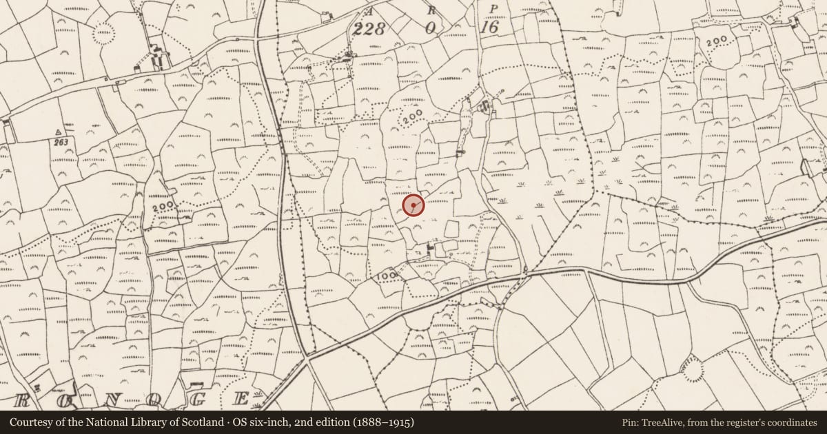 Ordnance Survey six-inch map, 2nd edition (1888–1915) covering the location of Megalithic tomb - wedge tomb, Cappaghnacallee, County Cork, with a pin at the register's coordinates