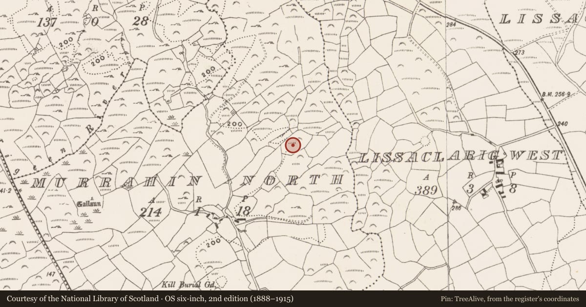 Ordnance Survey six-inch map, 2nd edition (1888–1915) covering the location of Standing stone, Murrahin North, County Cork, with a pin at the register's coordinates