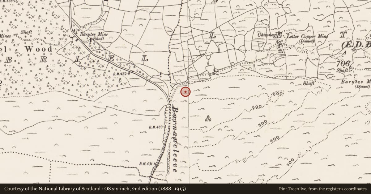 Ordnance Survey six-inch map, 2nd edition (1888–1915) covering the location of Standing stone, Letter (Carbery West (W.D) By., Skull Par.), County Cork, with a pin at the register's coordinates