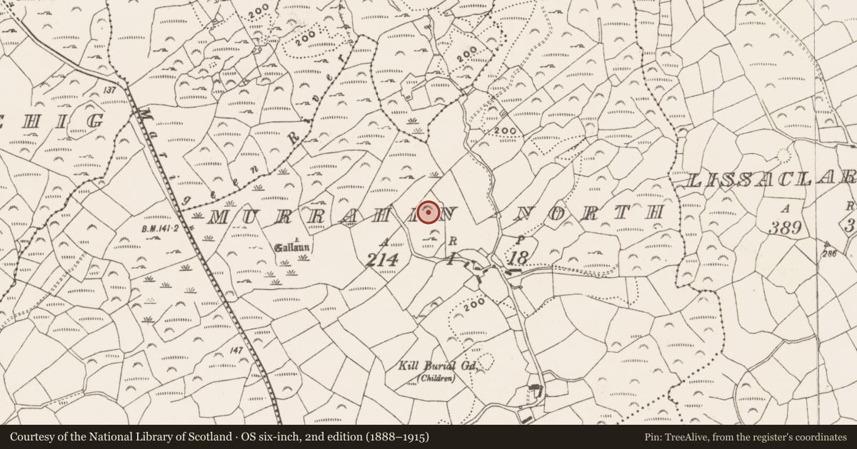 Ordnance Survey six-inch map, 2nd edition (1888–1915) covering the location of Standing stone, Murrahin North, County Cork, with a pin at the register's coordinates