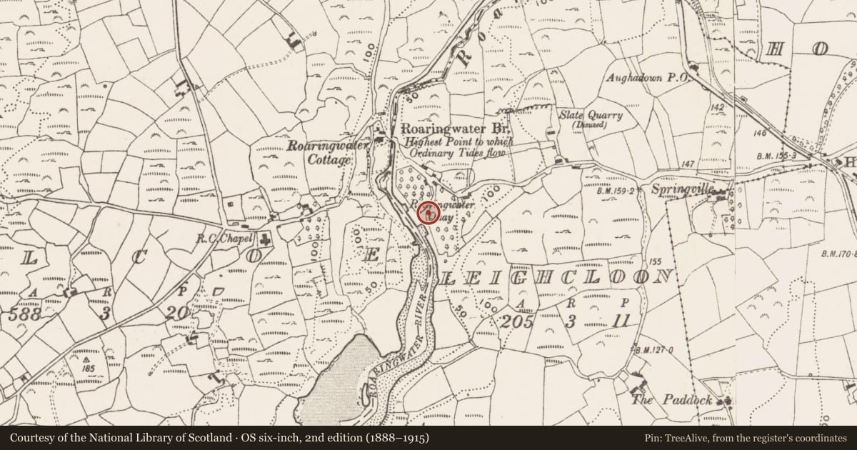 Ordnance Survey six-inch map, 2nd edition (1888–1915) covering the location of Metalworking site, Leighcloon, County Cork, with a pin at the register's coordinates