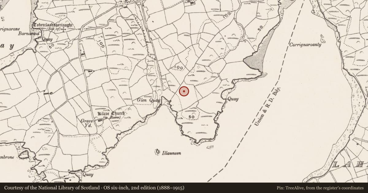 Ordnance Survey six-inch map, 2nd edition (1888–1915) covering the location of Cupmarked stone, Kilcoe, County Cork, with a pin at the register's coordinates