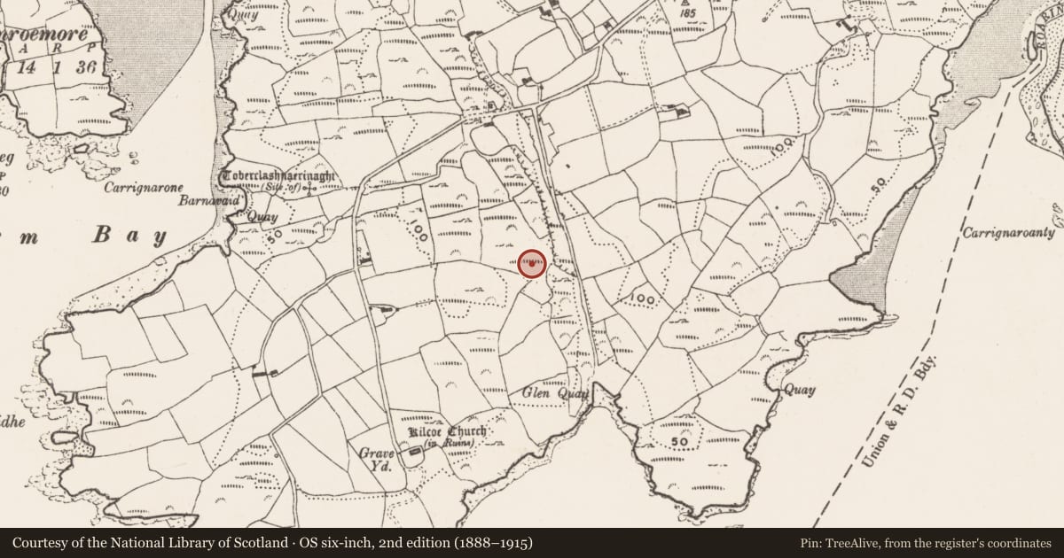 Ordnance Survey six-inch map, 2nd edition (1888–1915) covering the location of Rock art, Kilcoe, County Cork, with a pin at the register's coordinates