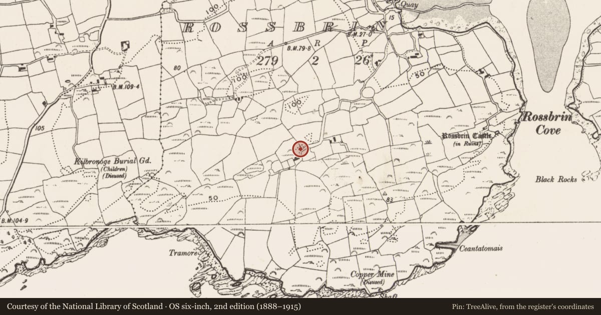 Ordnance Survey six-inch map, 2nd edition (1888–1915) covering the location of Standing stone, Rossbrin, County Cork, with a pin at the register's coordinates