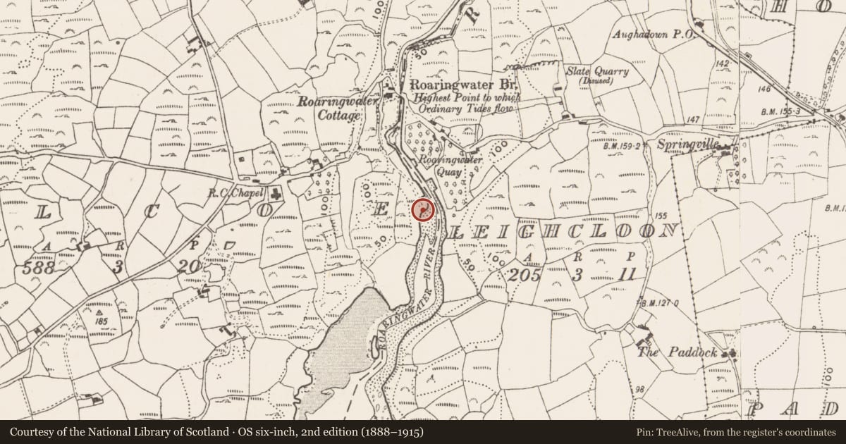 Ordnance Survey six-inch map, 2nd edition (1888–1915) covering the location of Cupmarked stone, Kilcoe, County Cork, with a pin at the register's coordinates