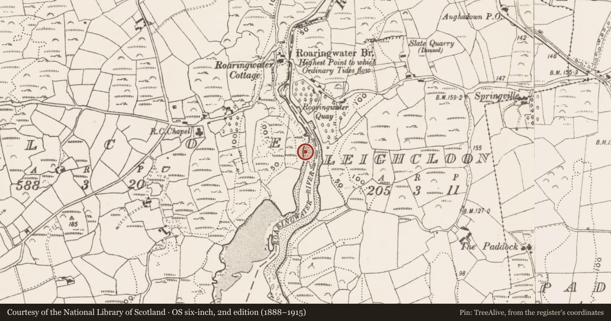 Ordnance Survey six-inch map, 2nd edition (1888–1915) covering the location of Kiln - lime, Kilcoe, County Cork, with a pin at the register's coordinates