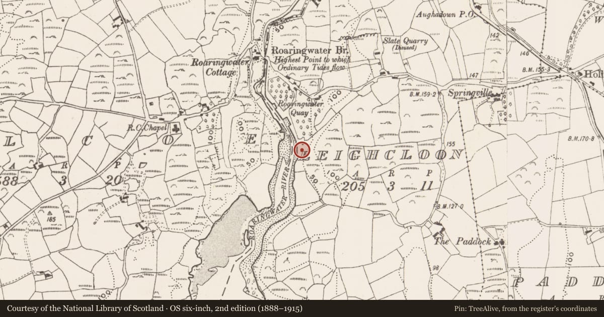Ordnance Survey six-inch map, 2nd edition (1888–1915) covering the location of Cupmarked stone, Leighcloon, County Cork, with a pin at the register's coordinates