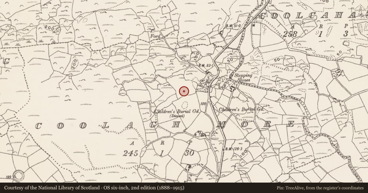 Ordnance Survey six-inch map, 2nd edition (1888–1915) covering the location of Burnt mound, Coolagh More, County Cork, with a pin at the register's coordinates