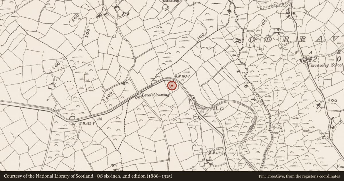 Ordnance Survey six-inch map, 2nd edition (1888–1915) covering the location of Children's burial ground, Ardura Beg, County Cork, with a pin at the register's coordinates