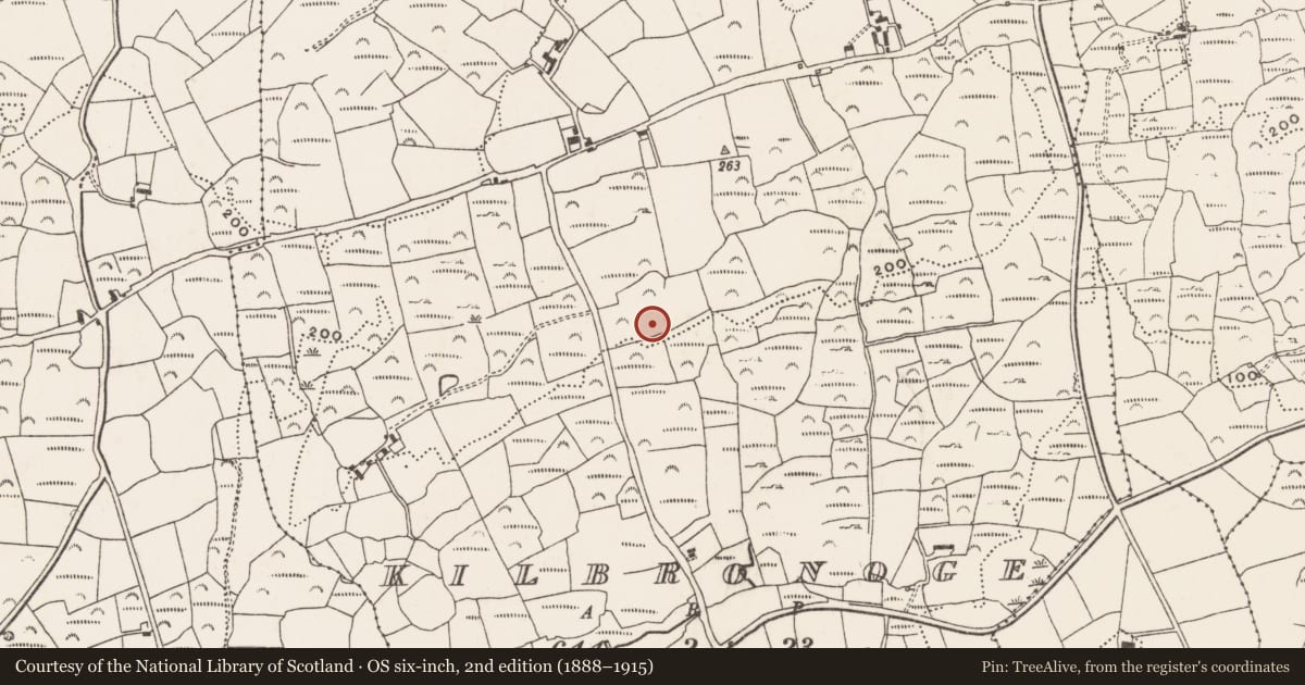 Ordnance Survey six-inch map, 2nd edition (1888–1915) covering the location of Cupmarked stone, Kilbronoge, County Cork, with a pin at the register's coordinates
