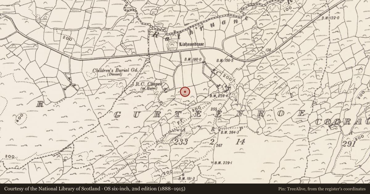 Ordnance Survey six-inch map, 2nd edition (1888–1915) covering the location of Bullaun stone (present location), Gurteenroe (Carbery West (W.D) By., Skull Par.), County Cork, with a pin at the register's coordinates