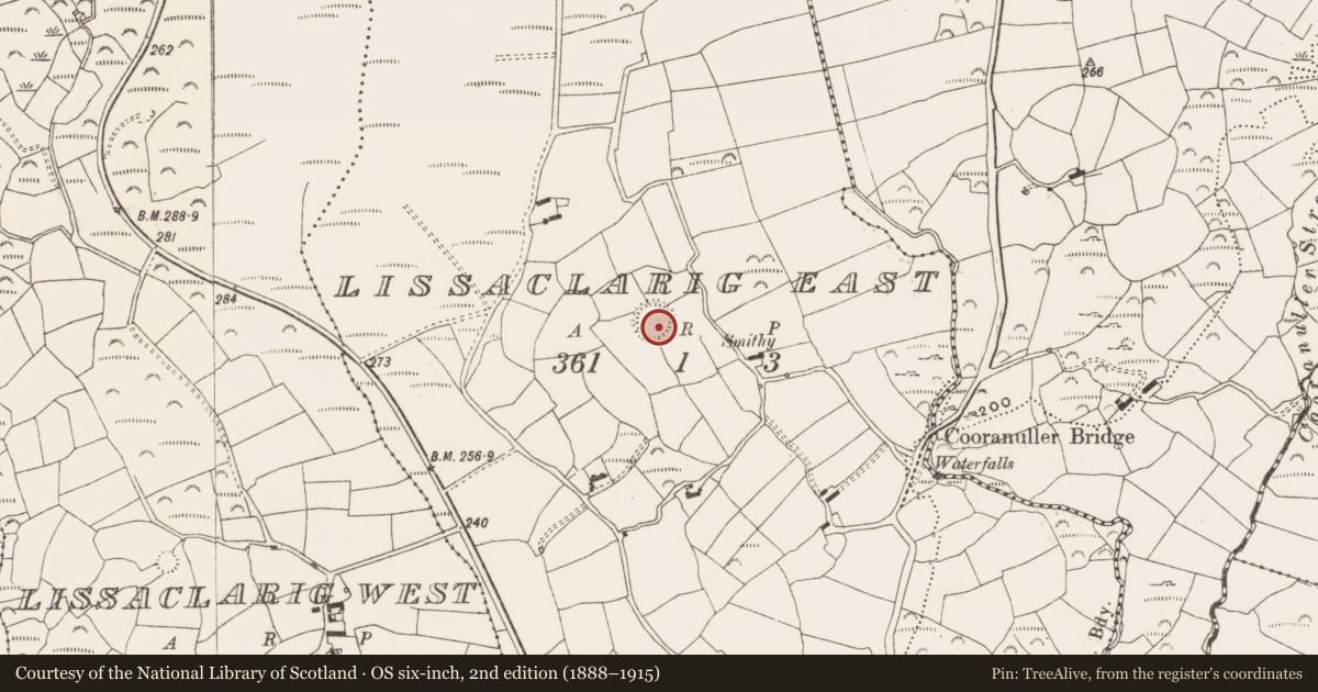 Ordnance Survey six-inch map, 2nd edition (1888–1915) covering the location of Ringfort - rath, Lissaclarig East, County Cork, with a pin at the register's coordinates