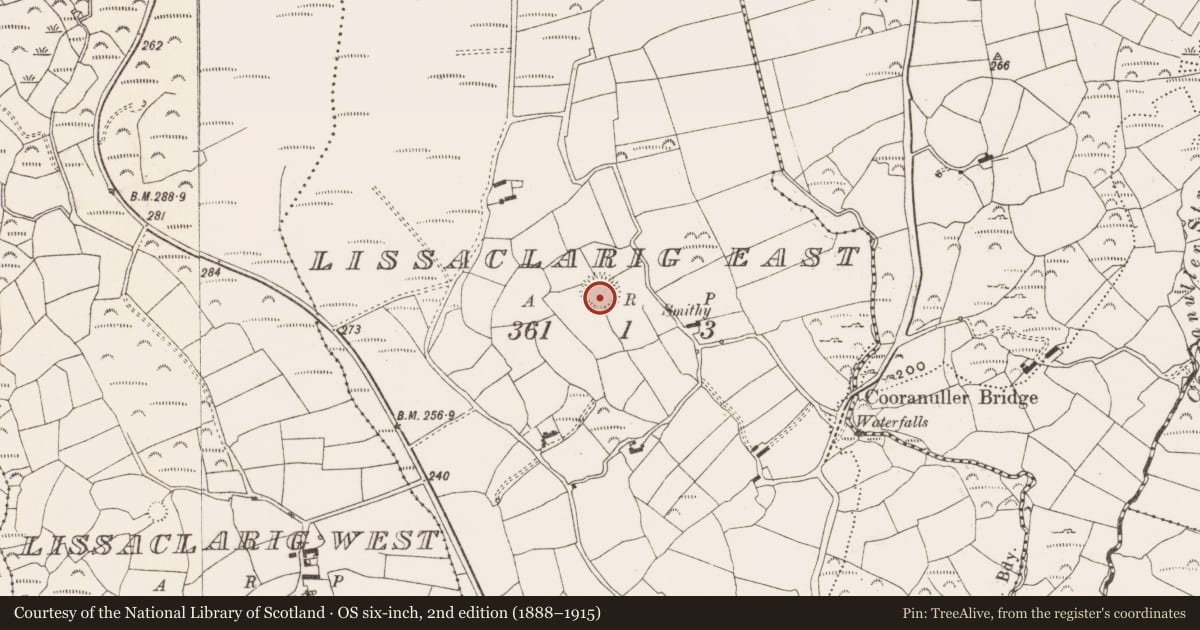 Ordnance Survey six-inch map, 2nd edition (1888–1915) covering the location of Souterrain, Lissaclarig East, County Cork, with a pin at the register's coordinates