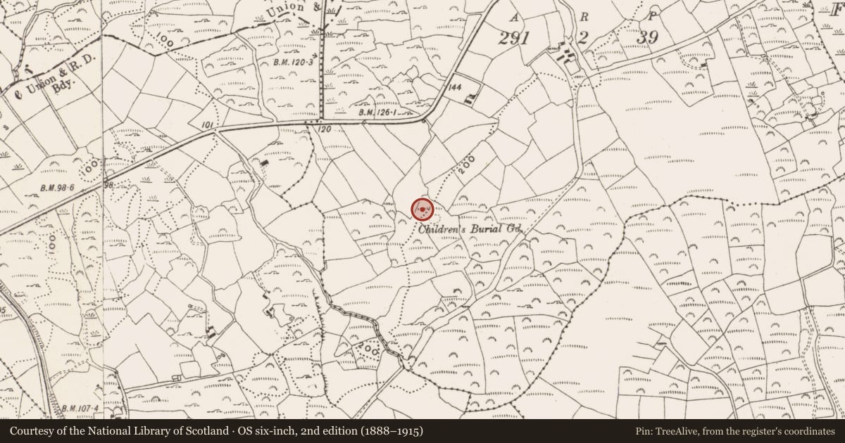 Ordnance Survey six-inch map, 2nd edition (1888–1915) covering the location of Anomalous stone group, Prohoness, County Cork, with a pin at the register's coordinates