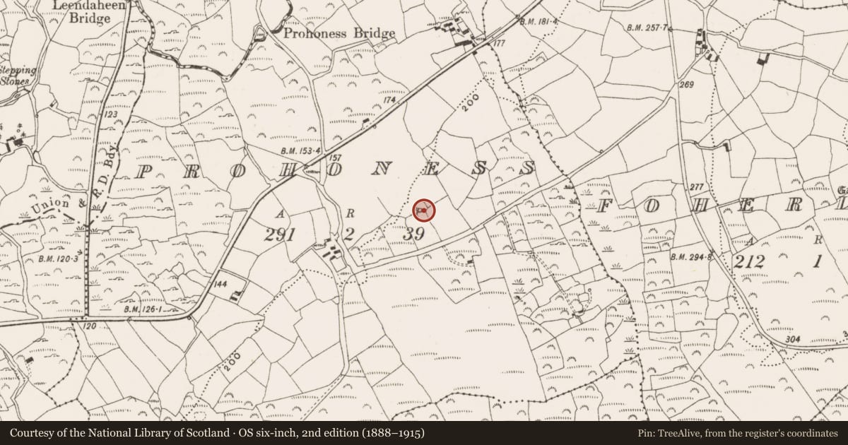 Ordnance Survey six-inch map, 2nd edition (1888–1915) covering the location of Ringfort - rath, Prohoness, County Cork, with a pin at the register's coordinates
