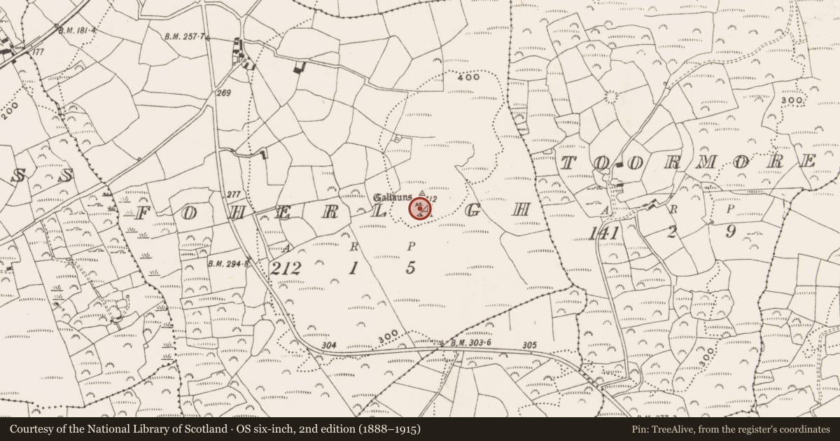 Ordnance Survey six-inch map, 2nd edition (1888–1915) covering the location of Standing stone - pair, Foherlagh, County Cork, with a pin at the register's coordinates