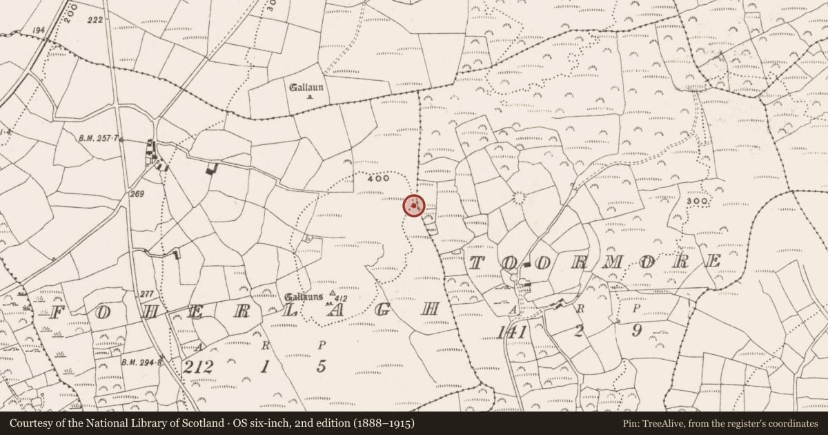 Ordnance Survey six-inch map, 2nd edition (1888–1915) covering the location of Standing stone, Foherlagh, County Cork, with a pin at the register's coordinates