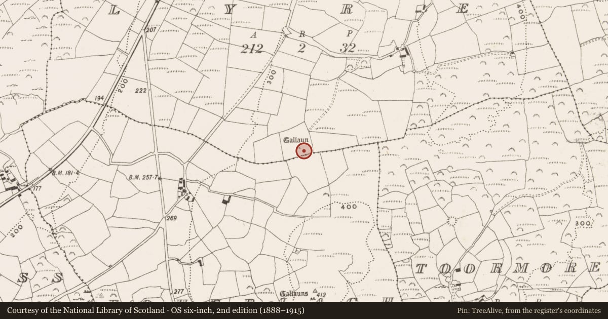Ordnance Survey six-inch map, 2nd edition (1888–1915) covering the location of Standing stone, Lyre, County Cork, with a pin at the register's coordinates