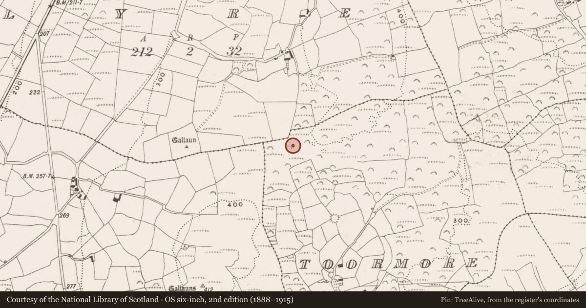 Ordnance Survey six-inch map, 2nd edition (1888–1915) covering the location of Enclosure, Toormore, County Cork, with a pin at the register's coordinates