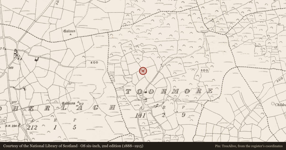 Ordnance Survey six-inch map, 2nd edition (1888–1915) covering the location of Ringfort - rath, Toormore, County Cork, with a pin at the register's coordinates
