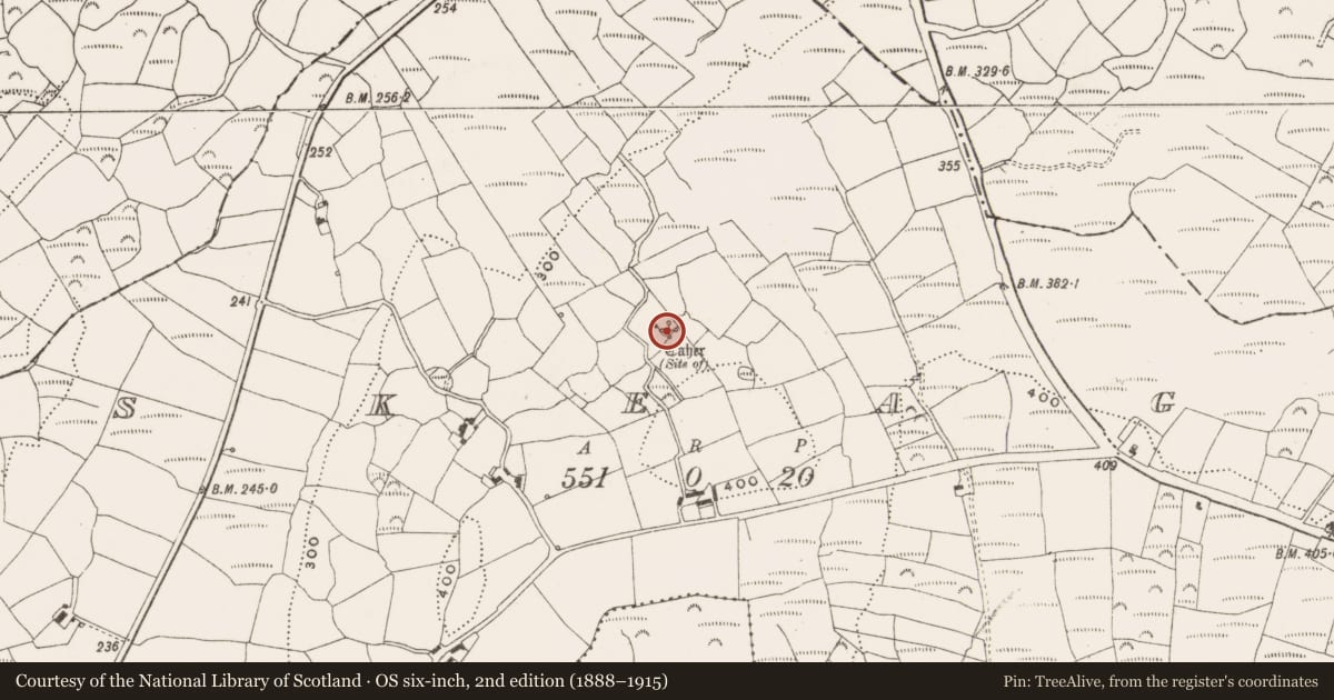 Ordnance Survey six-inch map, 2nd edition (1888–1915) covering the location of Ringfort - cashel, Skeagh, County Cork, with a pin at the register's coordinates