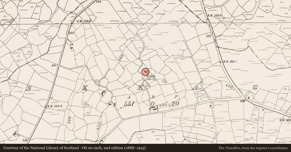 Ordnance Survey six-inch map, 2nd edition (1888–1915) covering the location of Hut site, Skeagh, County Cork, with a pin at the register's coordinates