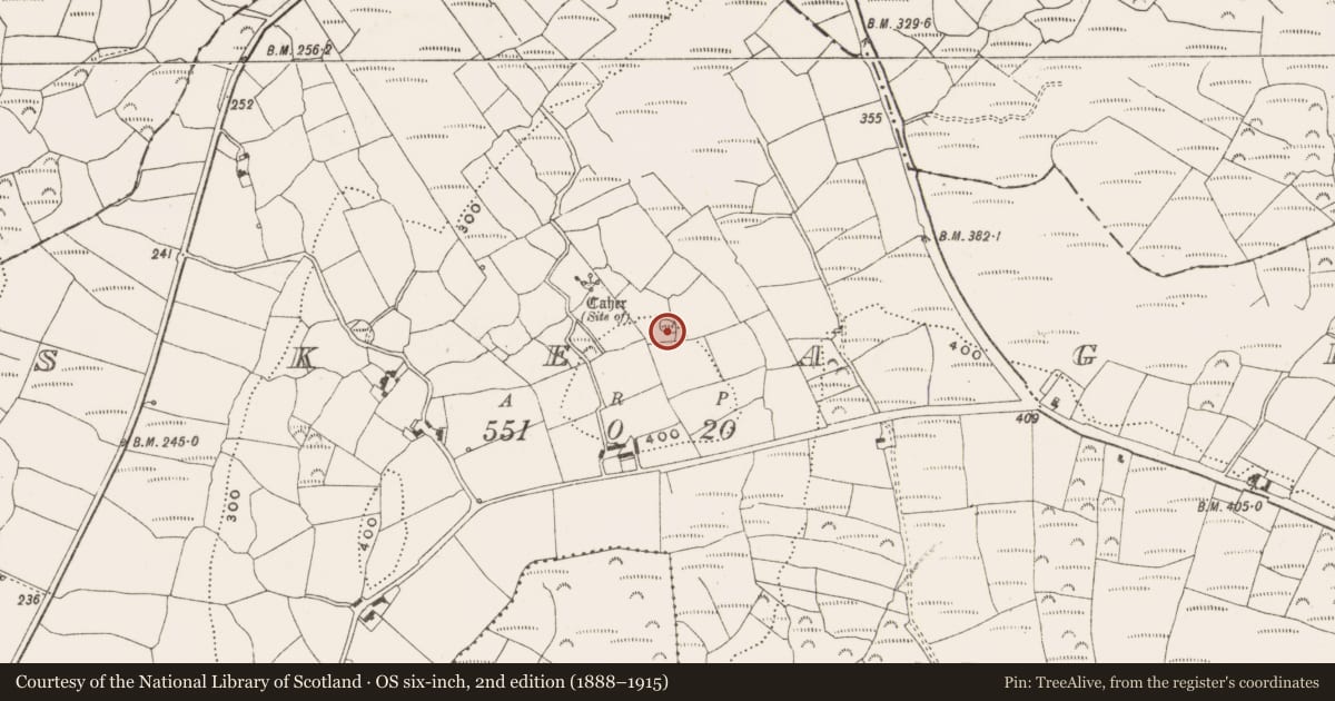 Ordnance Survey six-inch map, 2nd edition (1888–1915) covering the location of Enclosure, Skeagh, County Cork, with a pin at the register's coordinates