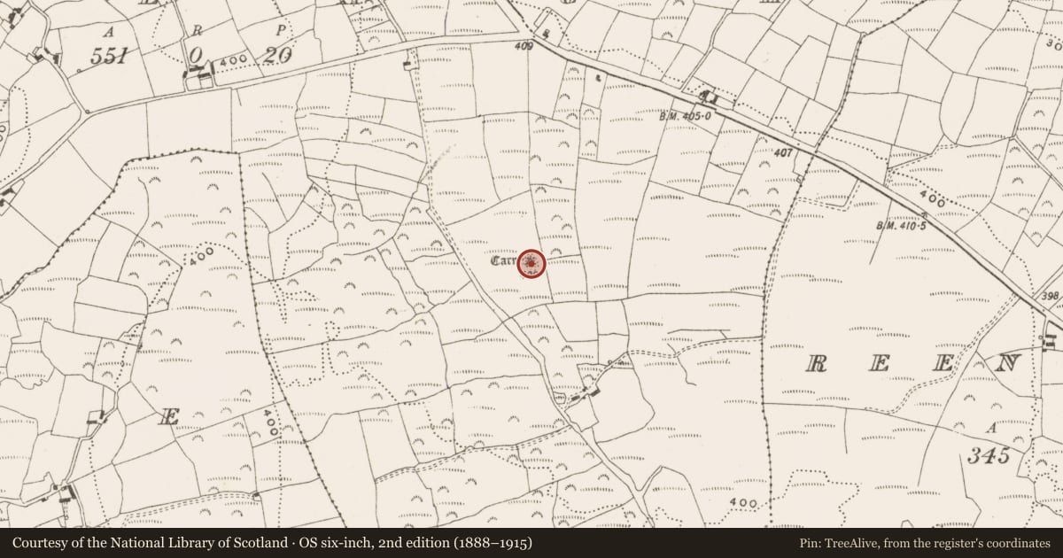 Ordnance Survey six-inch map, 2nd edition (1888–1915) covering the location of Cairn - unclassified, Skeagh, County Cork, with a pin at the register's coordinates
