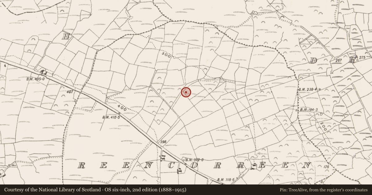 Ordnance Survey six-inch map, 2nd edition (1888–1915) covering the location of Fulacht fia, Reencorreen, County Cork, with a pin at the register's coordinates